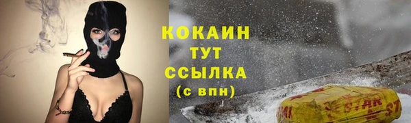 spice Верея