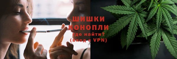 spice Верея