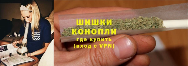 индика Бородино