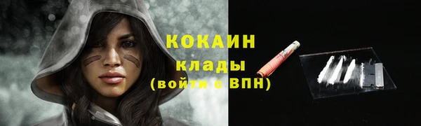 spice Верея