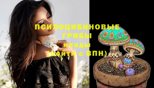 мет Верхний Тагил