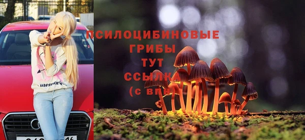 spice Верея